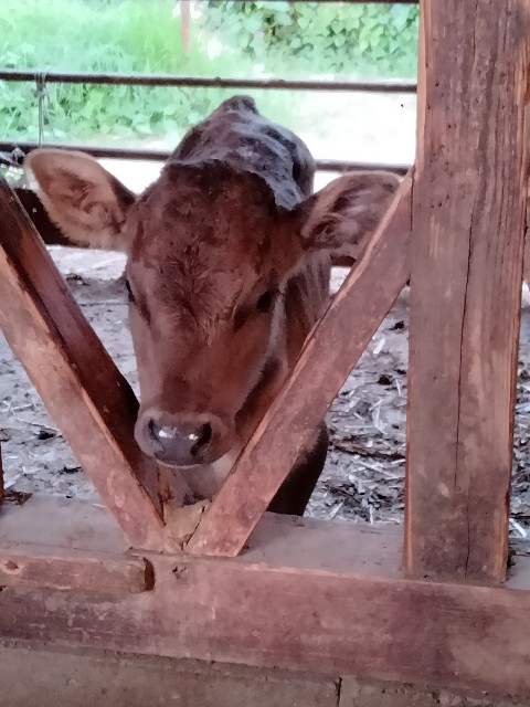 f:id:rupannzasann:20230407201125j:image f:id:rupannzasann:20230407201125j:image