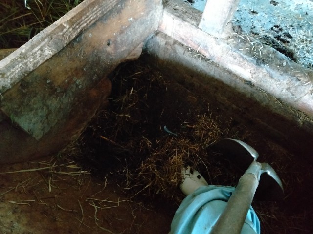 f:id:rupannzasann:20230728153106j:image f:id:rupannzasann:20230728153106j:image