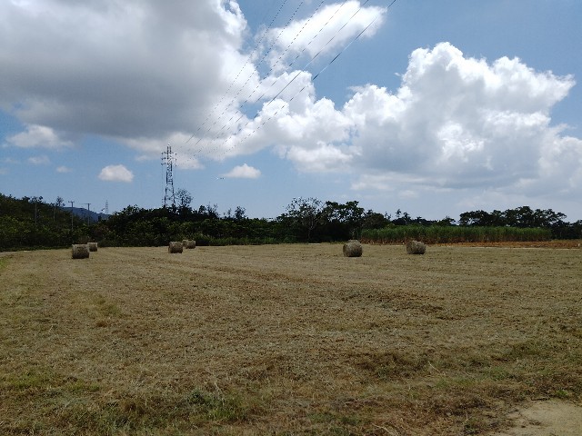 f:id:rupannzasann:20230912095539j:image f:id:rupannzasann:20230912095539j:image
