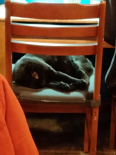 f:id:rupannzasann:20240126083916j:image f:id:rupannzasann:20240126083916j:image