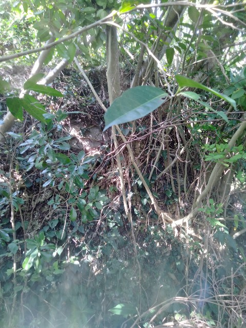 f:id:rupannzasann:20240520061833j:image f:id:rupannzasann:20240520061833j:image