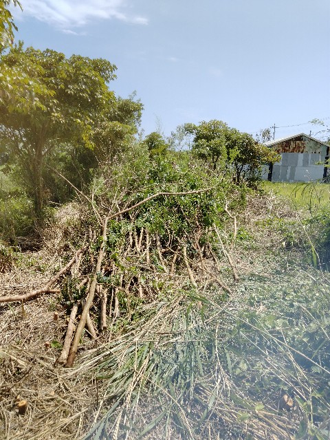 f:id:rupannzasann:20240521162958j:image f:id:rupannzasann:20240521162958j:image