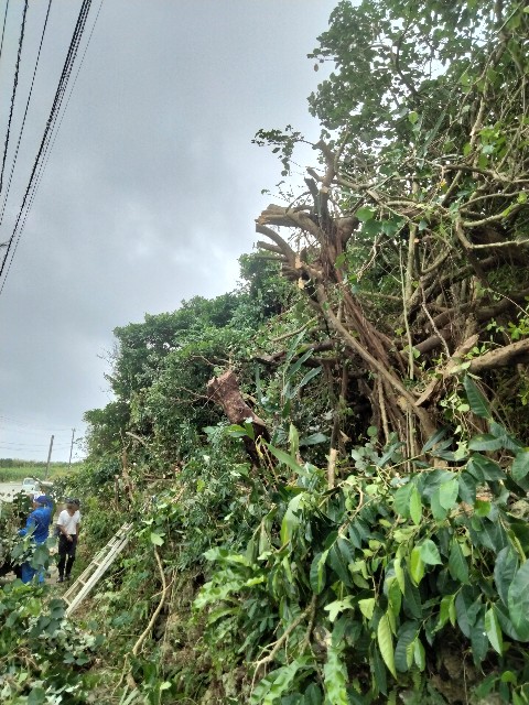 f:id:rupannzasann:20241124114905j:image