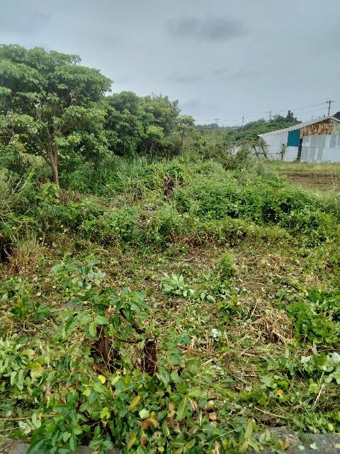 f:id:rupannzasann:20250406133750j:image