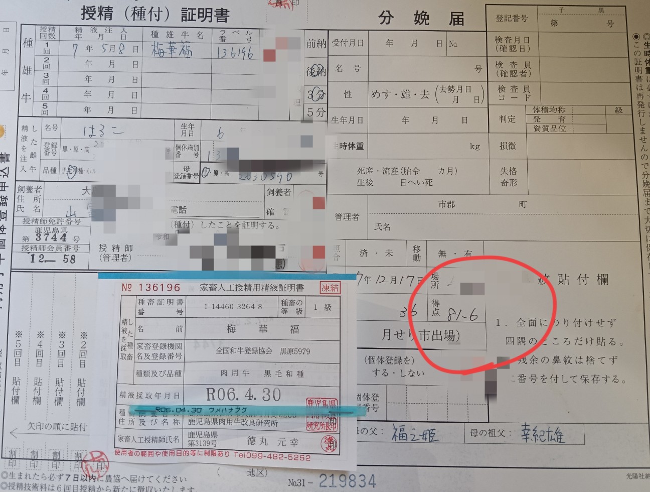 f:id:rupannzasann:20251217192308j:image