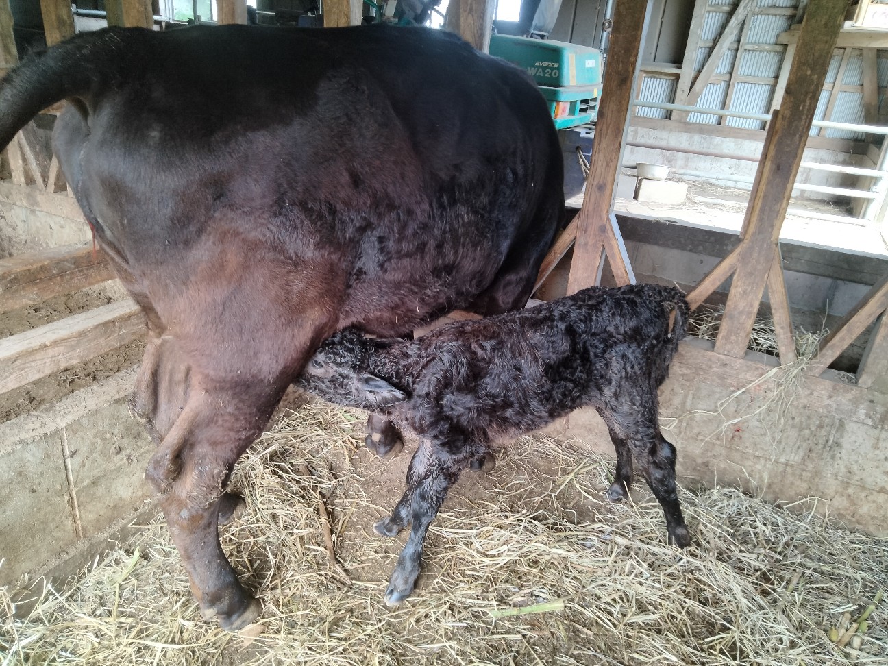 f:id:rupannzasann:20260222125422j:image