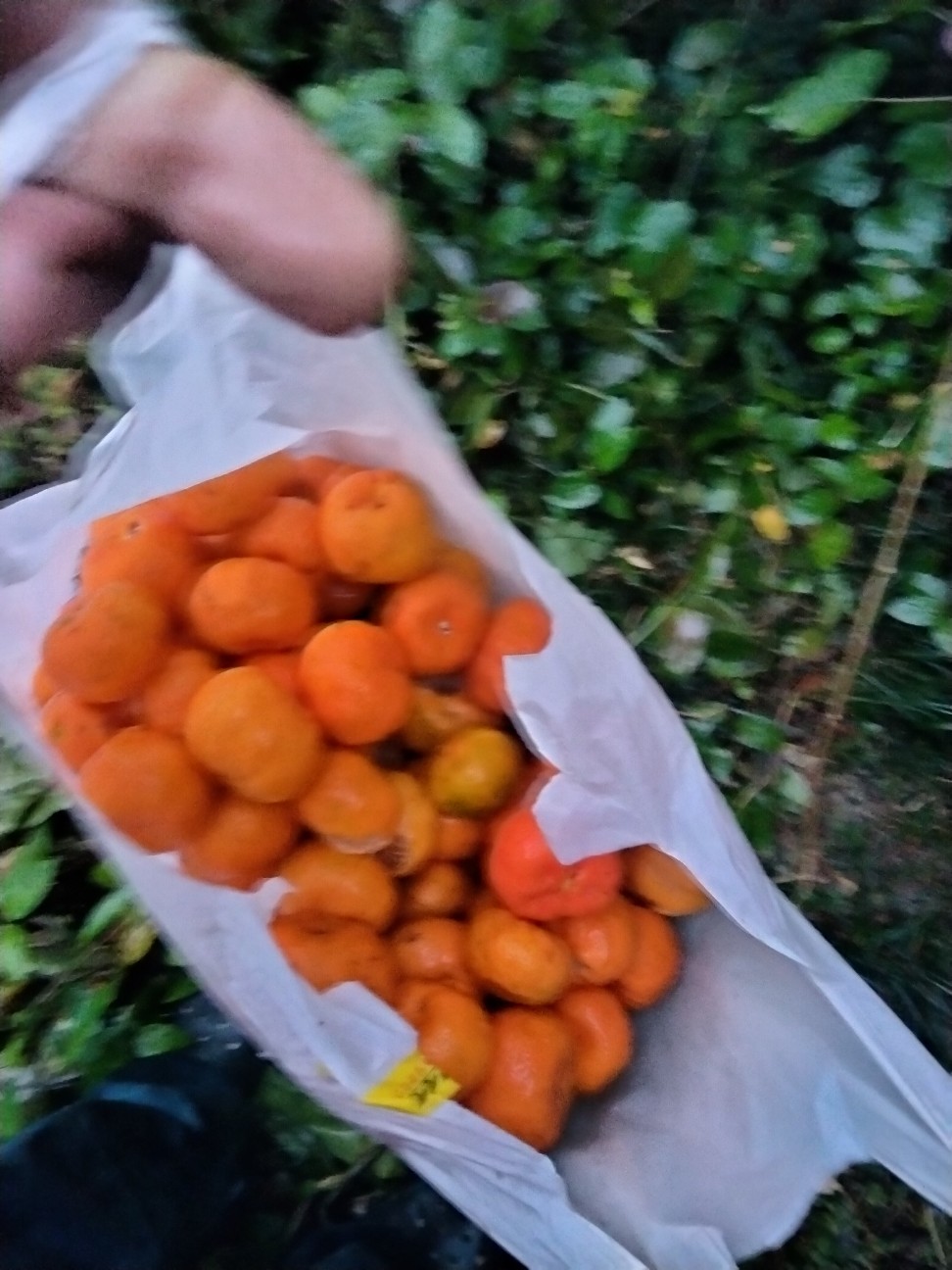 f:id:rupannzasann:20260222125445j:image f:id:rupannzasann:20260222125445j:image
