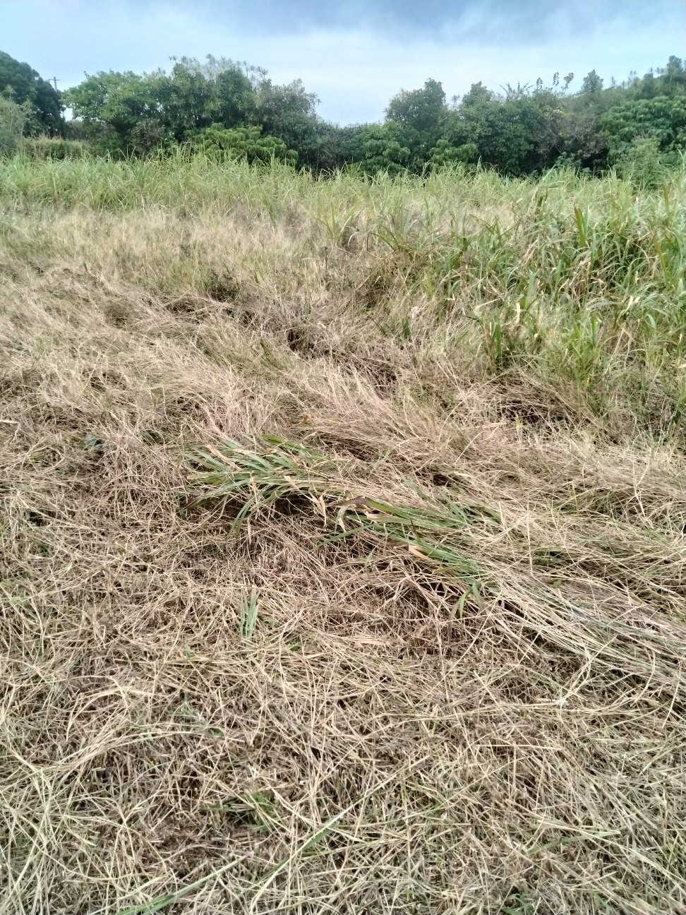 f:id:rupannzasann:20260227205922j:image f:id:rupannzasann:20260227205922j:image