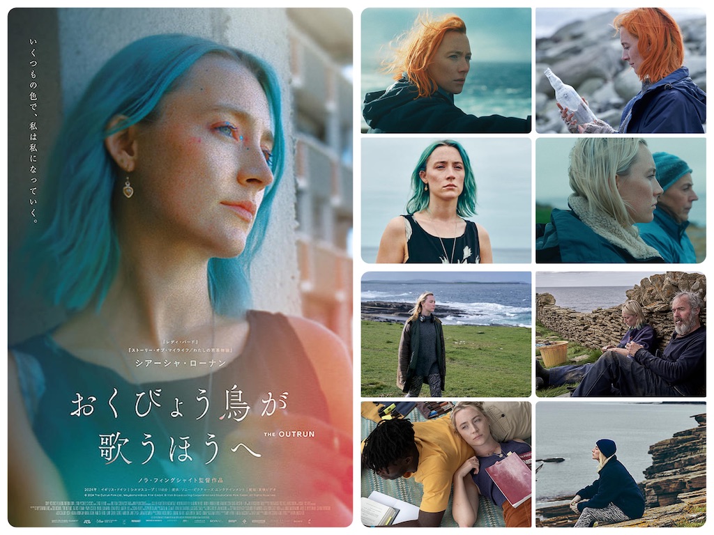 f:id:rupanroom:20260129141752j:image