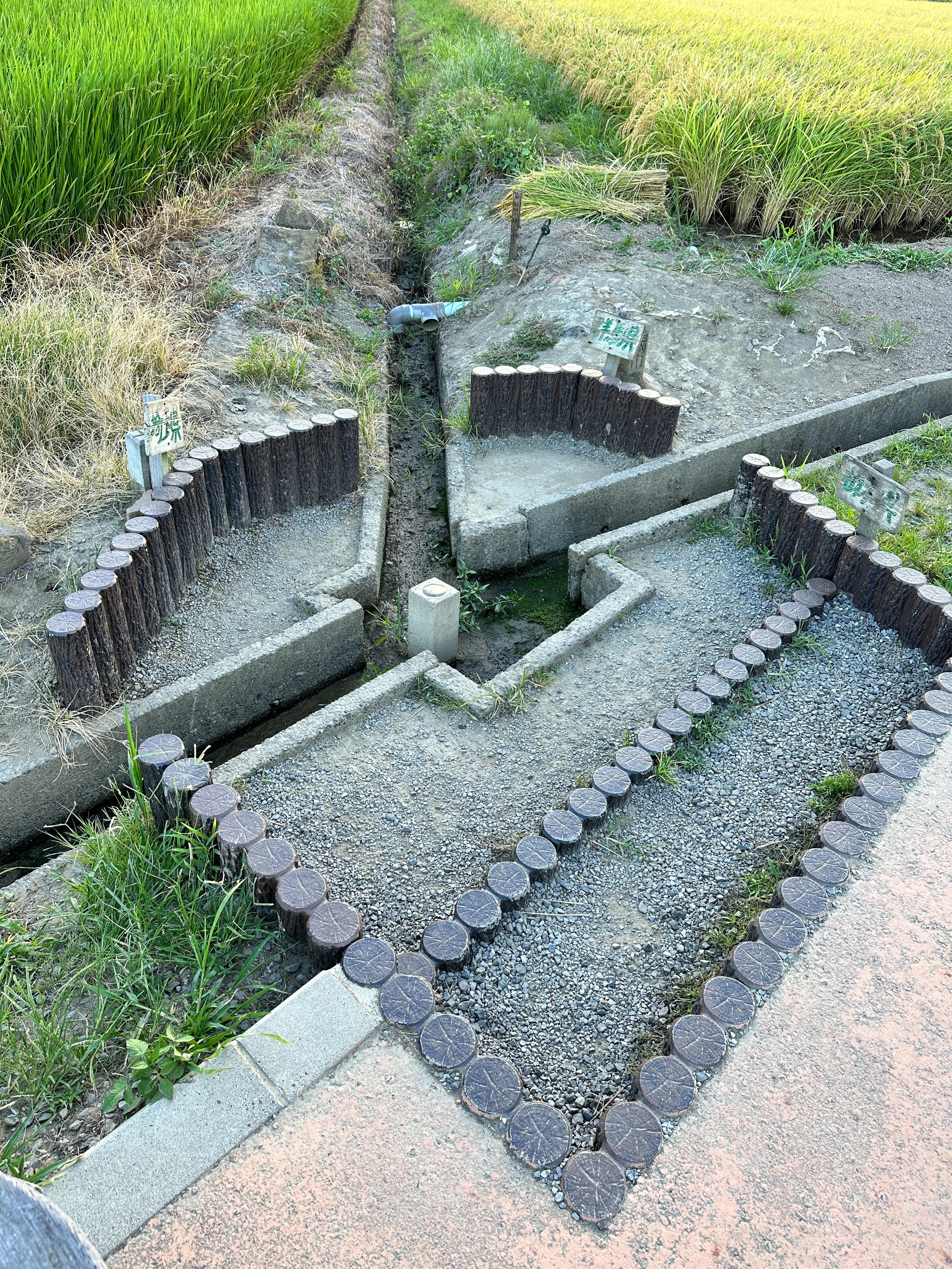 f:id:rupica0113:20230828133904j:image