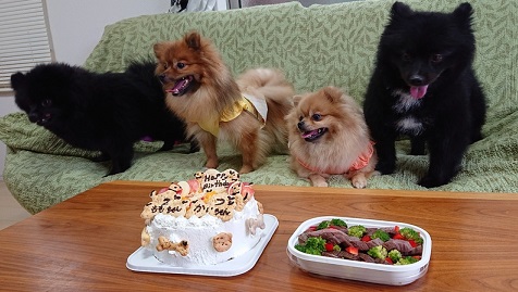 f:id:rupito0218:20200702132226j:plain