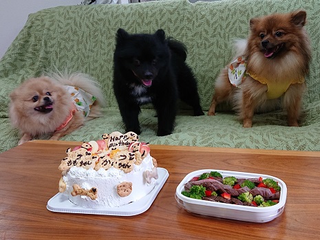 f:id:rupito0218:20200702133007j:plain