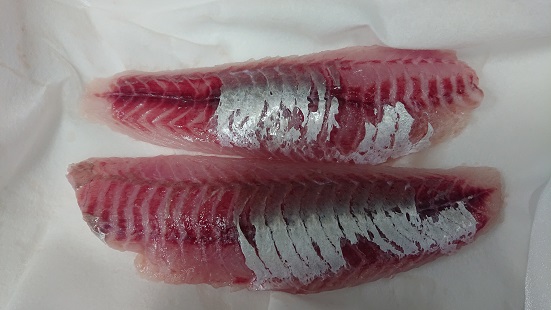 f:id:rupito0218:20200821195822j:plain