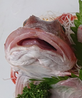 f:id:rupito0218:20200821201854j:plain