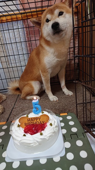 f:id:rupito0218:20200904191021j:plain