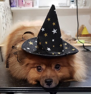 f:id:rupito0218:20201102161346j:plain