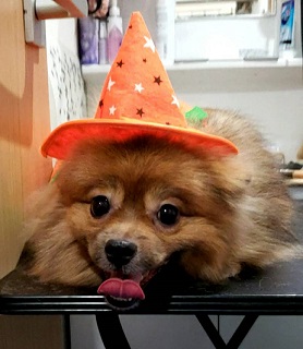 f:id:rupito0218:20201102161401j:plain