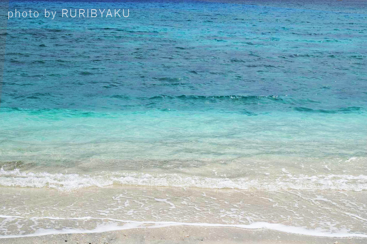 f:id:ruribyaku:20191116192643j:plain f:id:ruribyaku:20191116192643j:plain
