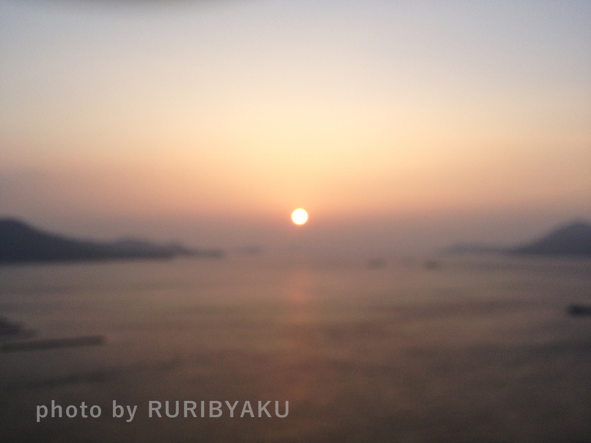 f:id:ruribyaku:20191117175608j:plain f:id:ruribyaku:20191117175608j:plain
