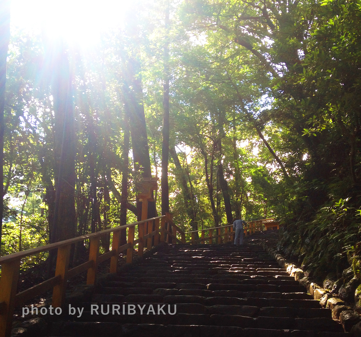 f:id:ruribyaku:20191117180059j:plain f:id:ruribyaku:20191117180059j:plain