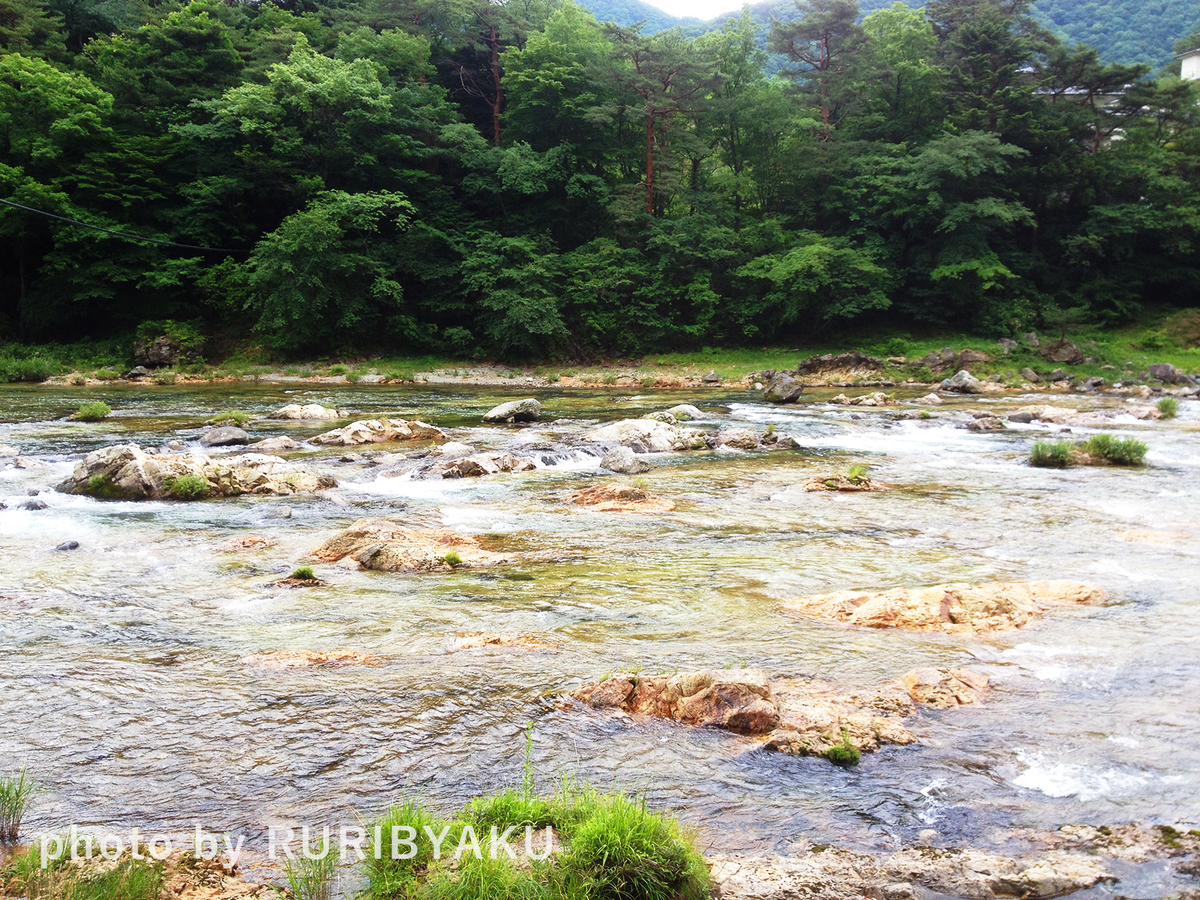f:id:ruribyaku:20191117202717j:plain f:id:ruribyaku:20191117202717j:plain