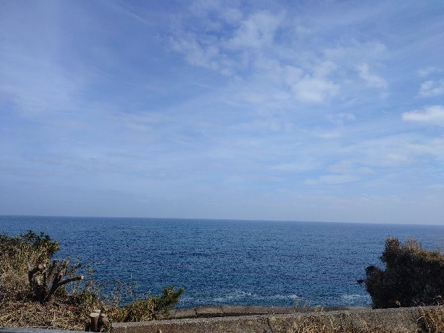 f:id:ruriiro100:20260218111236j:image f:id:ruriiro100:20260218111236j:image