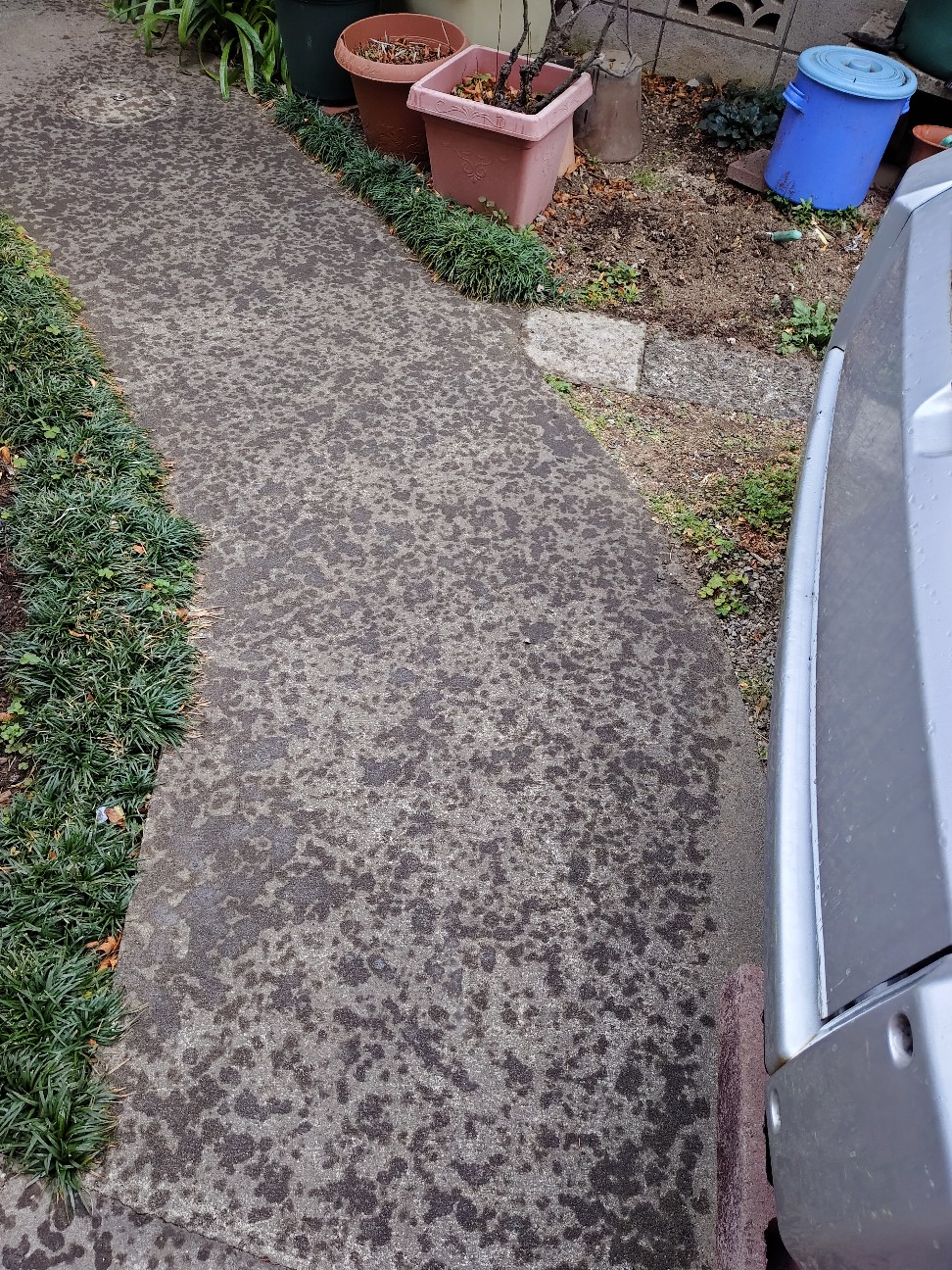 f:id:ruriiro100:20260225145658j:image f:id:ruriiro100:20260225145658j:image
