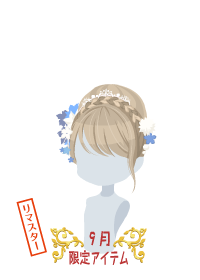 f:id:rurikax:20180927090920p:plain