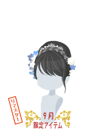 f:id:rurikax:20180927090923p:plain