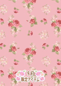 f:id:rurikax:20190919101936p:plain