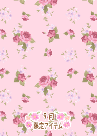 f:id:rurikax:20190919101939p:plain