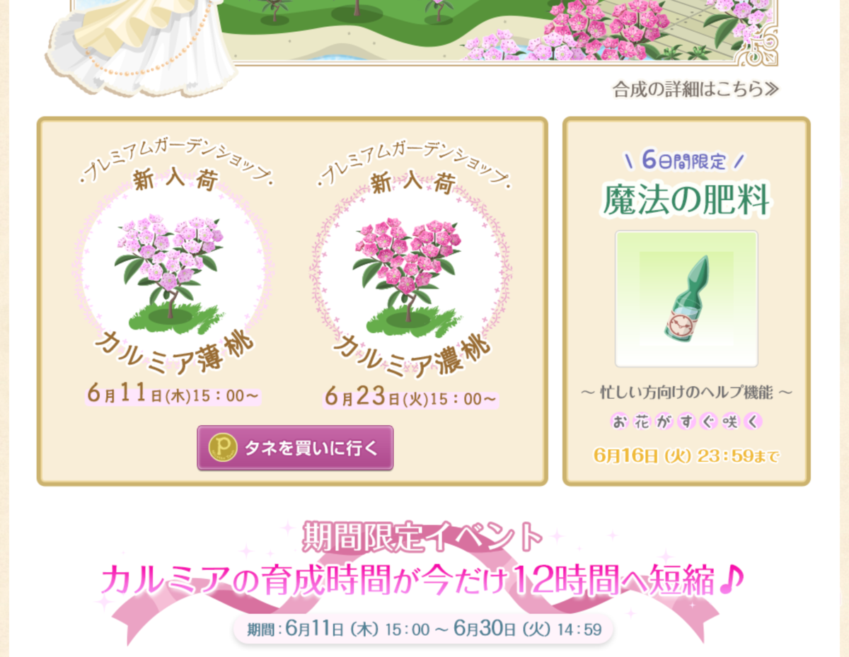 f:id:rurikax:20200611162955p:plain