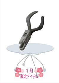 f:id:rurikax:20210128135250p:plain