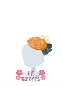 f:id:rurikax:20210130013348j:plain