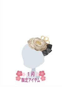 f:id:rurikax:20210130013351j:plain