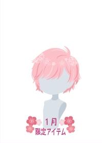 f:id:rurikax:20210130013455j:plain