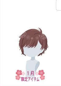 f:id:rurikax:20210130013501j:plain