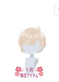 f:id:rurikax:20210130013511j:plain