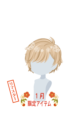 f:id:rurikax:20210203021834p:plain