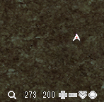 f:id:rurikax:20210206091517p:plain