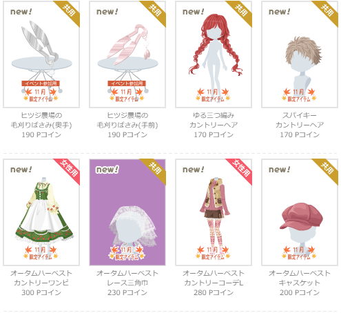 カントリー刺繍フレーム 2022年11月P限定第1弾 - ニコッとタウンきせかえめも