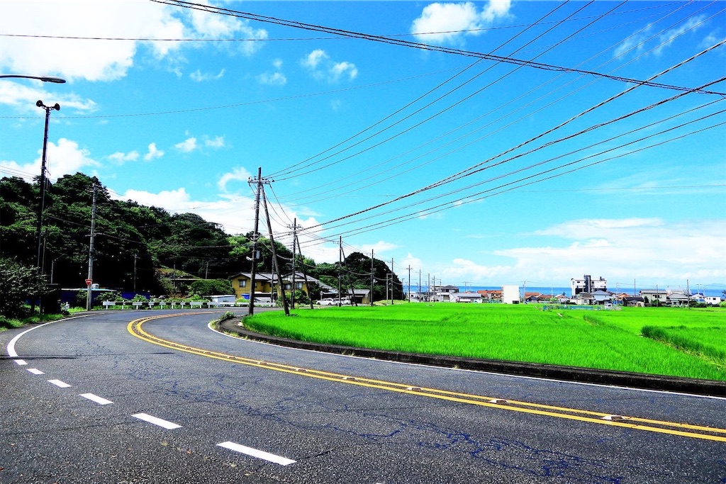 f:id:rurikoma:20230824212925j:image f:id:rurikoma:20230824212925j:image