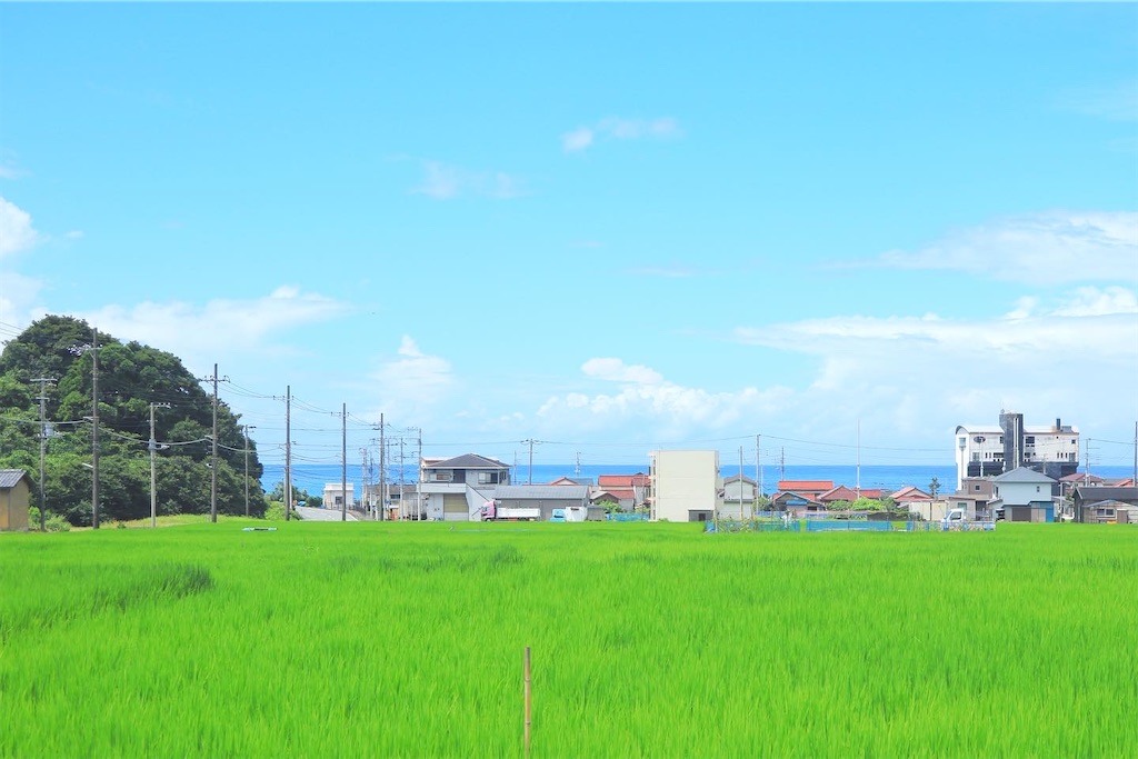 f:id:rurikoma:20230824212928j:image f:id:rurikoma:20230824212928j:image