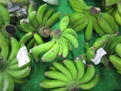 タチコマみたい