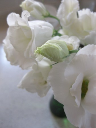 f:id:ruru-t:20100906083036j:image
