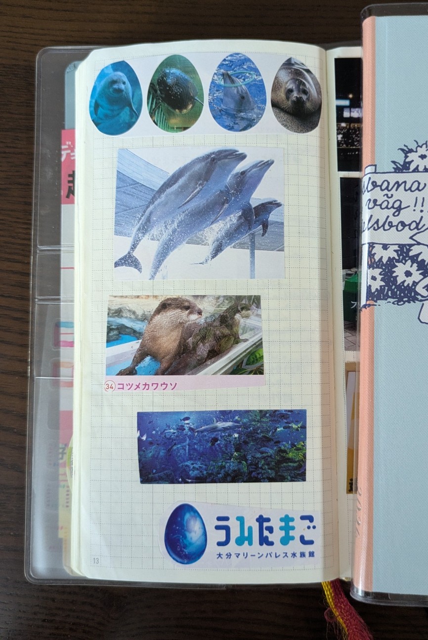 f:id:ruru1001:20260626105048j:image