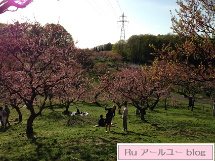 f:id:ruruchang:20160515194908j:plain f:id:ruruchang:20160515194908j:plain