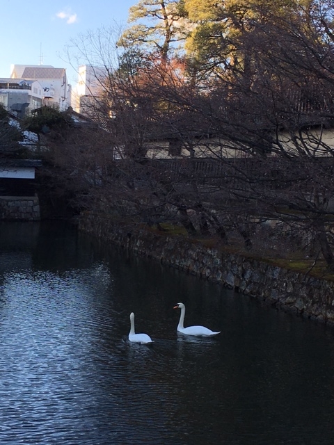 f:id:rurufuchu:20170220003441j:plain f:id:rurufuchu:20170220003441j:plain