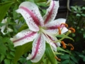 20110716063612