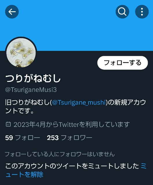 f:id:rurusasuknights:20240219225957j:image f:id:rurusasuknights:20240219225957j:image